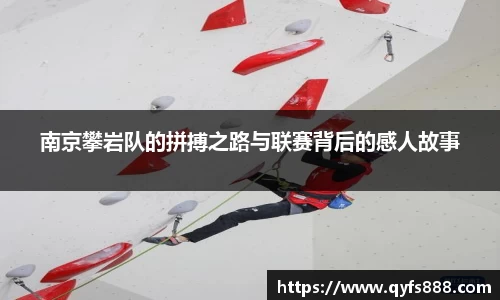 万博狗万网址